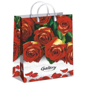 Пакет мягкий пластик 23х27 (150мкм) Галерея лам. (1040 шт.) Интерпак