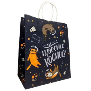 Пакет бумажный с кручеными ручками 220х120х250 100 гр с печатью Ты просто космос (25250 шт.)