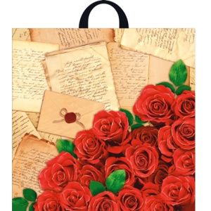 Пакет с петлевой ручкой ПВД 44х44 (70 мкм) Либретто (25500 шт.) Интерпак