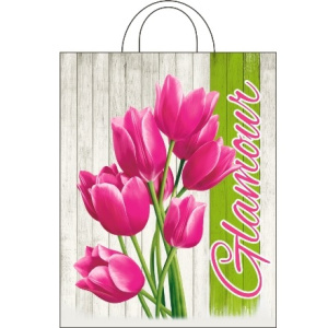 Пакет с петлевой ручкой ПВД 2835 (55 мкм) Гармония  (251000 шт.) Интерпак